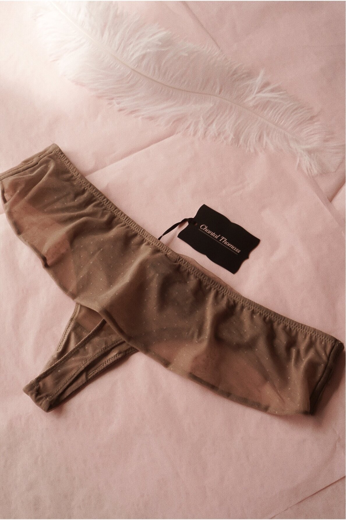 Chantal Thomass Panties Encens Moi 1