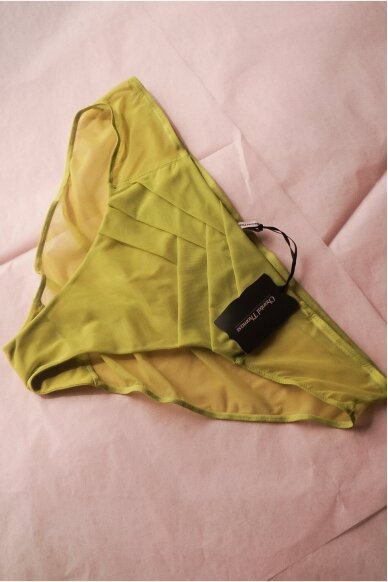 Chantal Thomas Panties Vert Anis Size 44 Chantal Thomas Panties Vert Anis Size 44