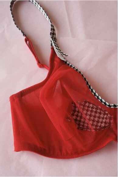 Chantal Thomass Laces Bra 70E 2