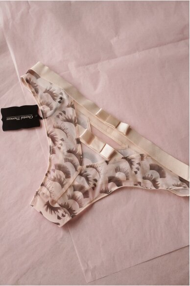 Chantal Thomass  Panties Size 36 1