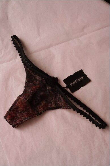 Chantal Thomass  Panties Size 40