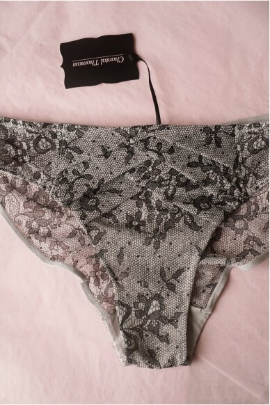 Chantal Thomass  Panties 3