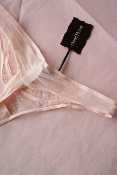 Chantal Thomass  Panties Size 40 2