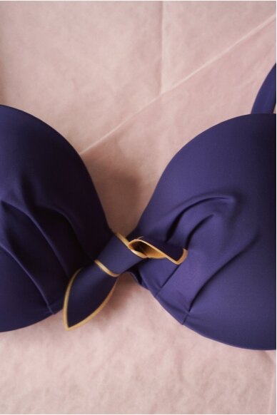 Chantelle Swimwear Top 1