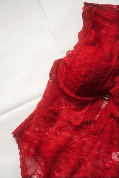 Oh La La Cheri Paris Jette Lingerie Bodysuit 9