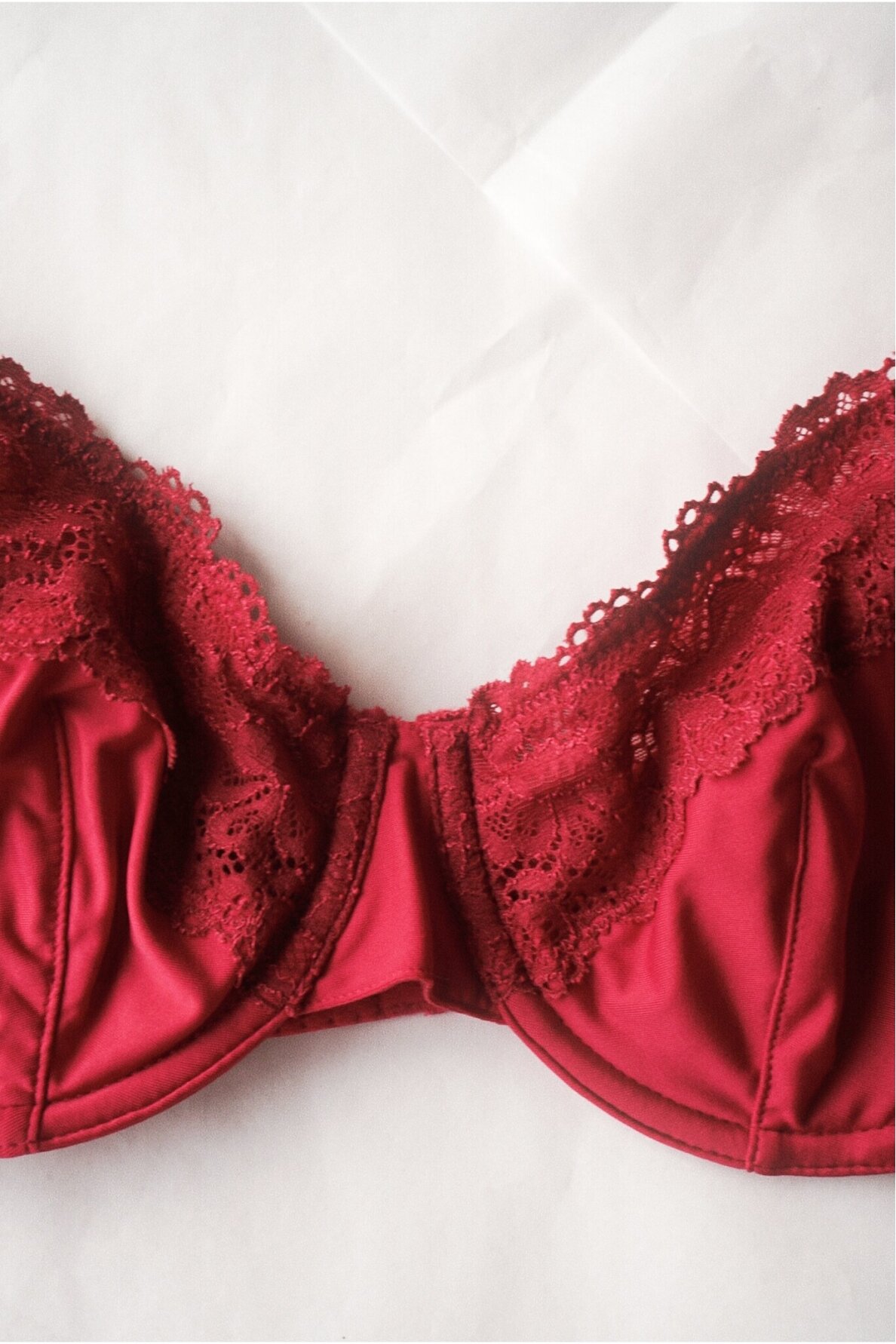Orcanta Lingerie Bra 1
