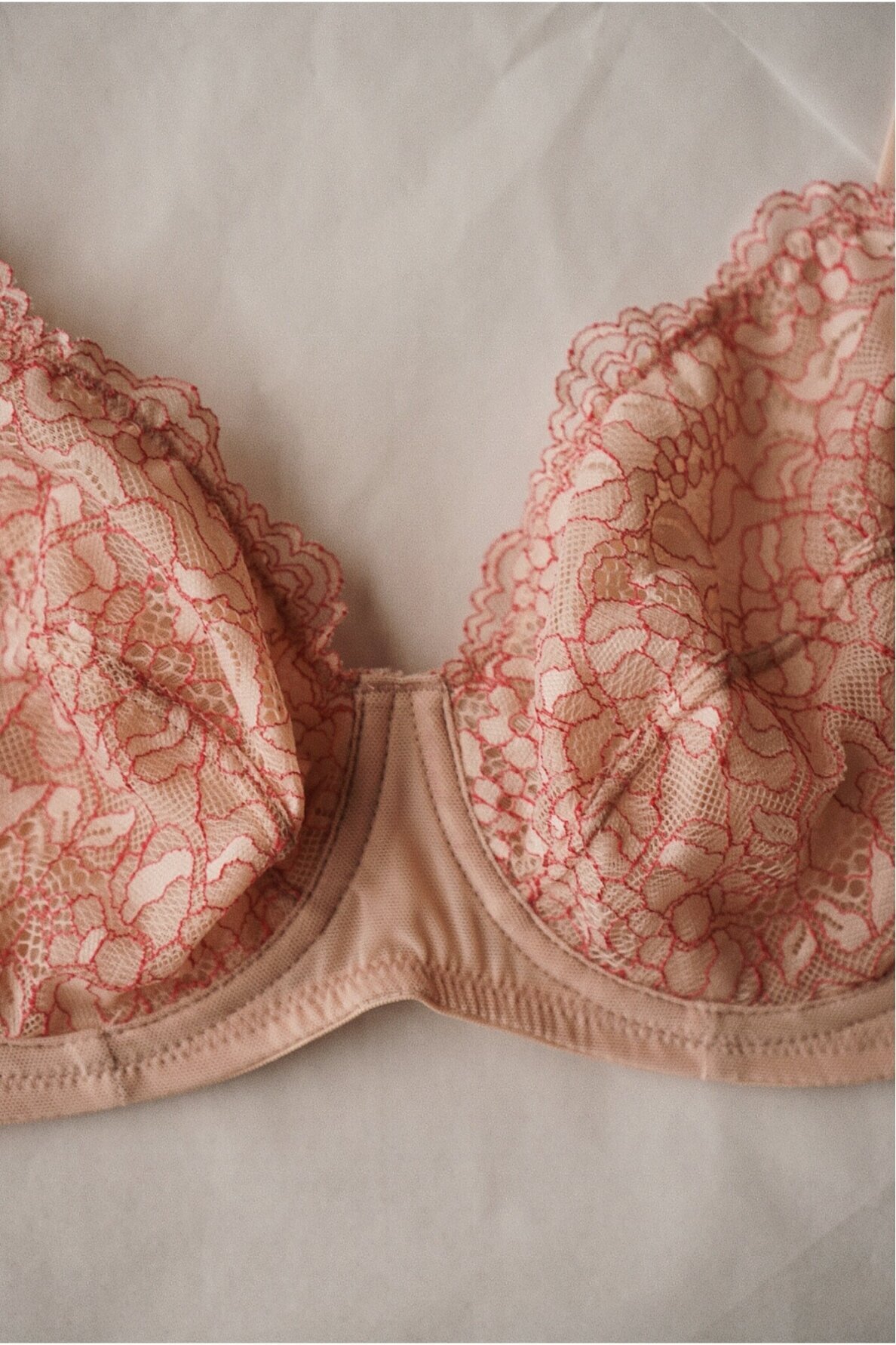 Orcanta Lingerie Bra 2