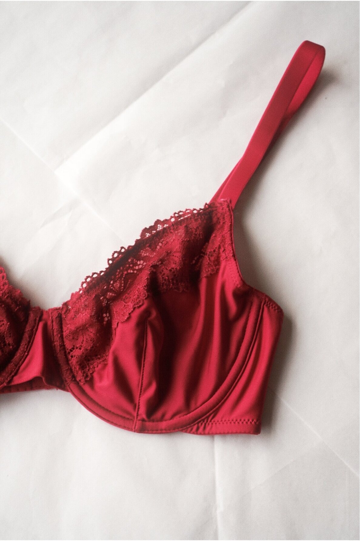 Orcanta Lingerie Bra 2