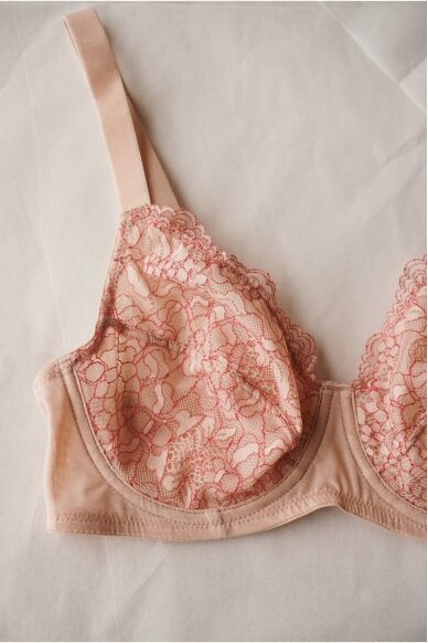 Orcanta Lingerie Bra 1