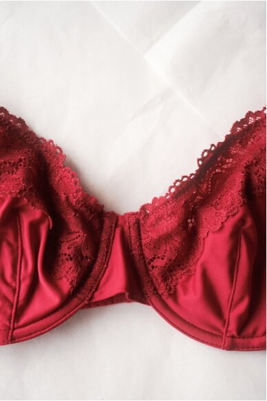 Orcanta Lingerie Bra 1