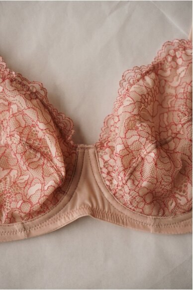 Orcanta Lingerie Bra 2
