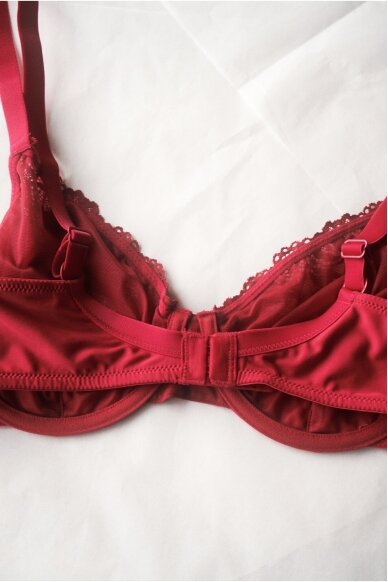 Orcanta Lingerie Bra 3