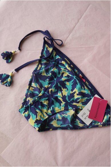 Passionata Swimwear Bottom 1