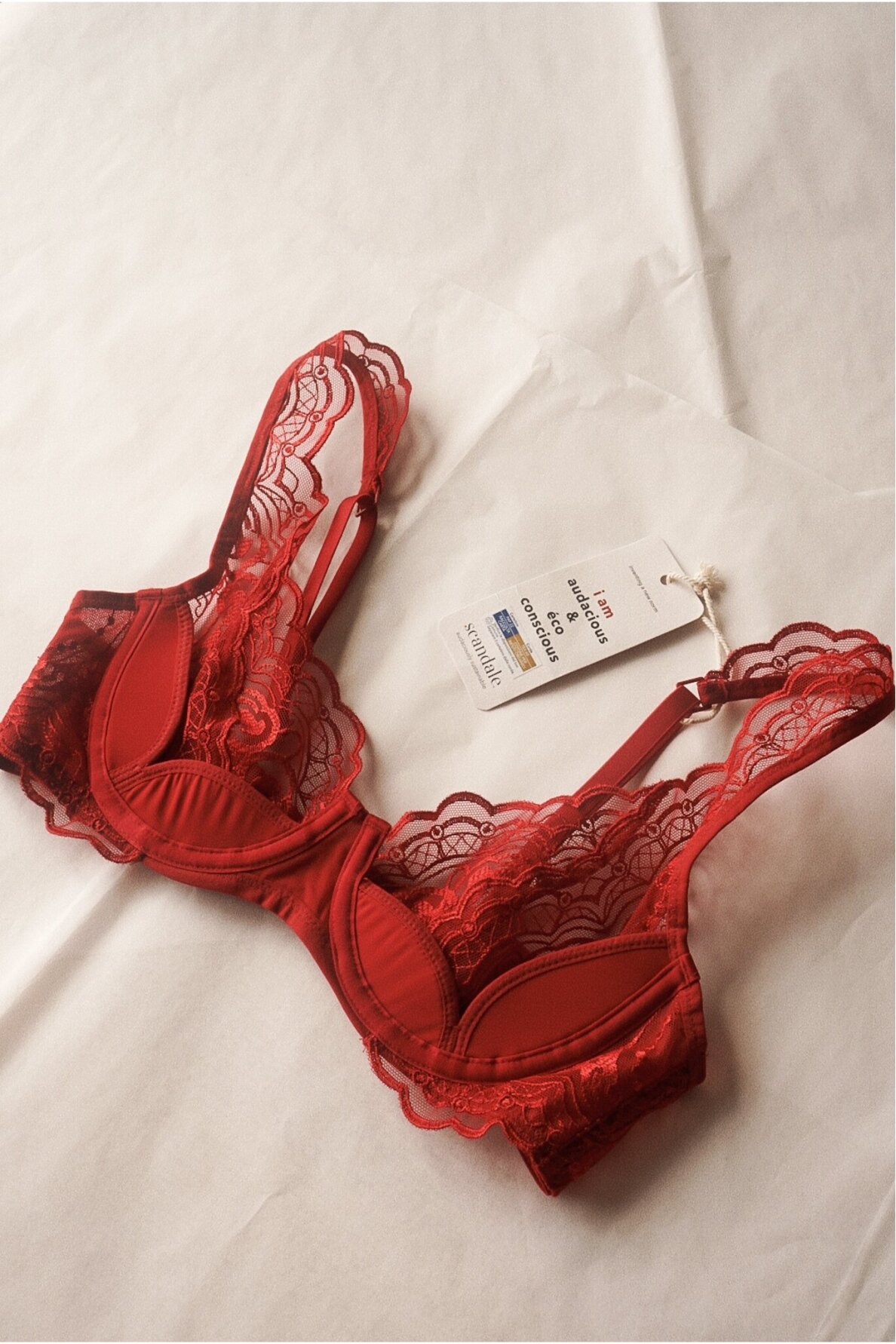 Scandale Laces Bra 4 Scandale Laces Bra 4