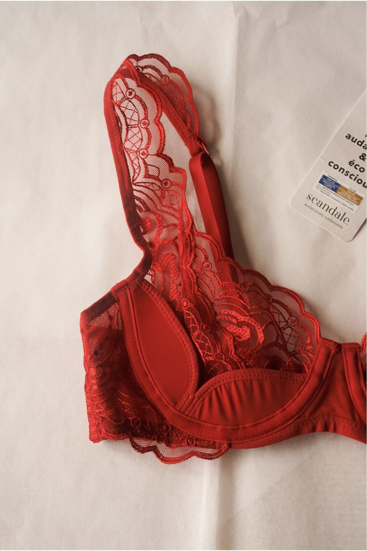 Scandale Laces Bra 5