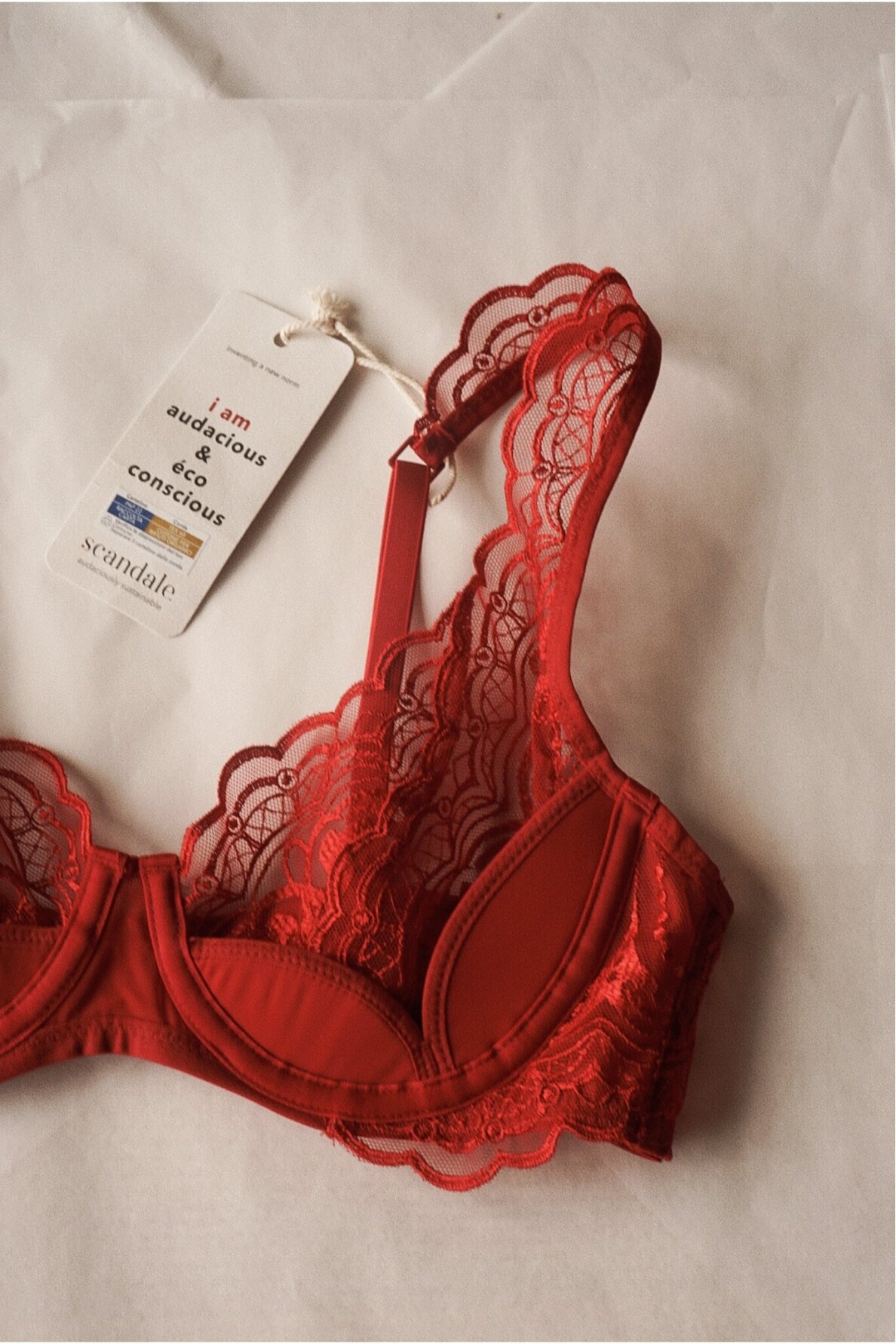 Scandale Laces Bra 7