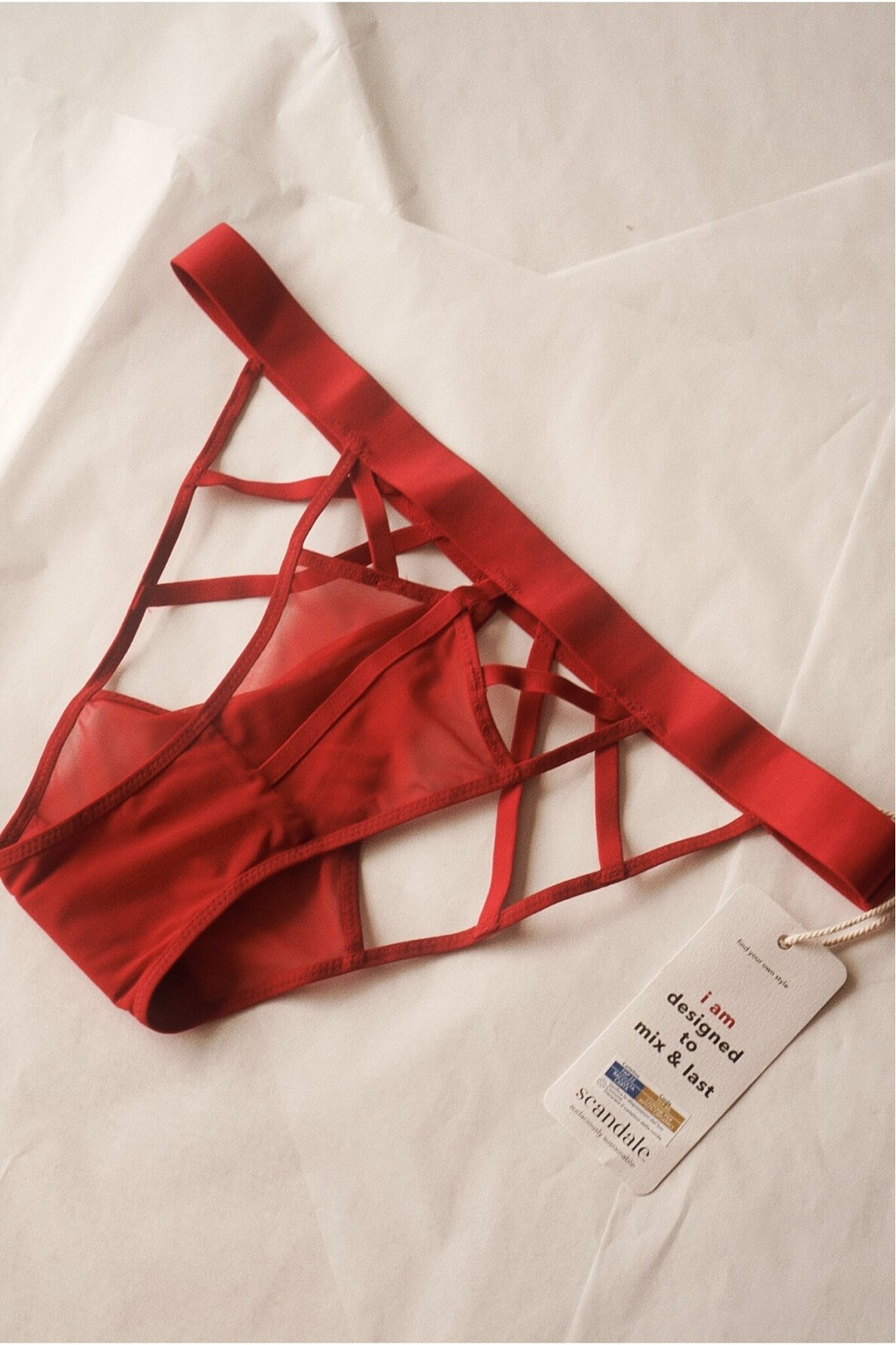 Scandale Panties 4