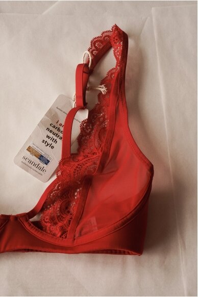 Scandale Laces Bra 3 Scandale Laces Bra 3