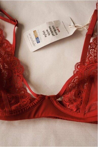 Scandale Laces Bra 5