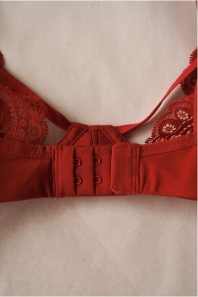 Scandale Laces Bra 6