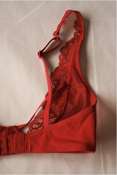 Scandale Laces Bra 6