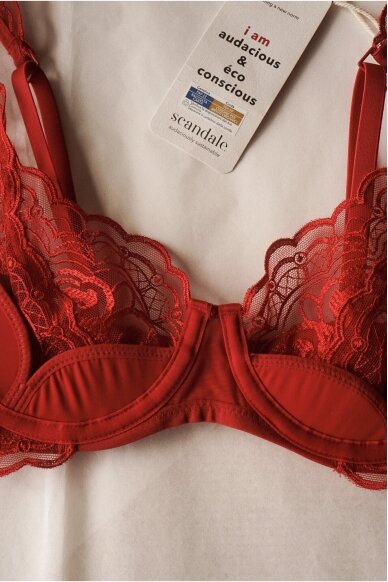 Scandale Laces Bra 8 Scandale Laces Bra 8