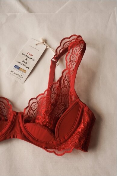 Scandale Laces Bra 7 Scandale Laces Bra 7