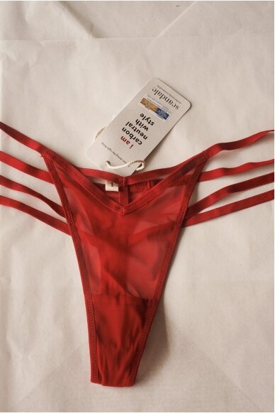 Scandale Panties 4