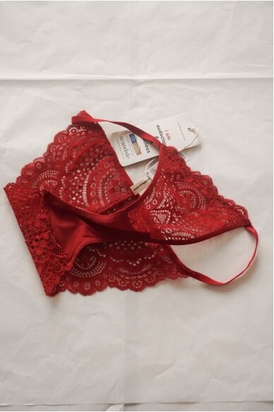 Scandale Panties 4