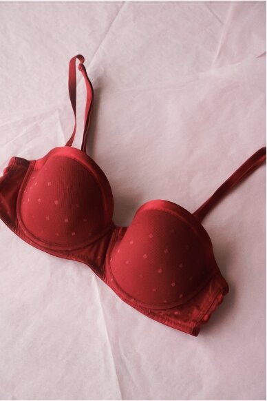 Vintage Laces Bra 70B