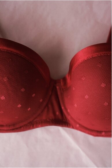 Vintage Laces Bra 70B 1