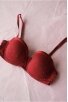 Vintage Laces Bra 70B